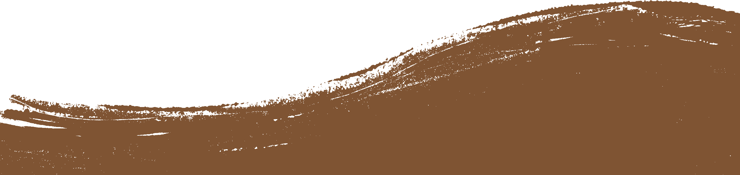 brush-bg-01d-scaled-2-3